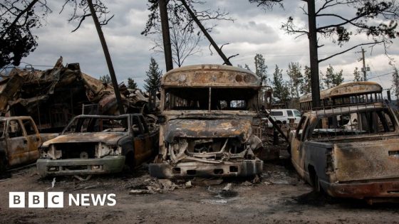 Images show destruction after Jasper fire in Canada – MASHAHER