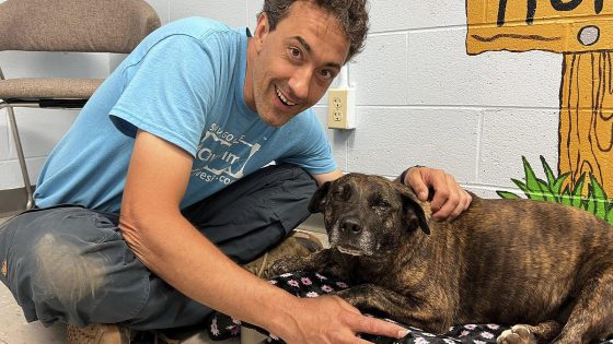 “Miracle” dog found alive over 40 feet down in Virginia cave, lured out by salami – MASHAHER