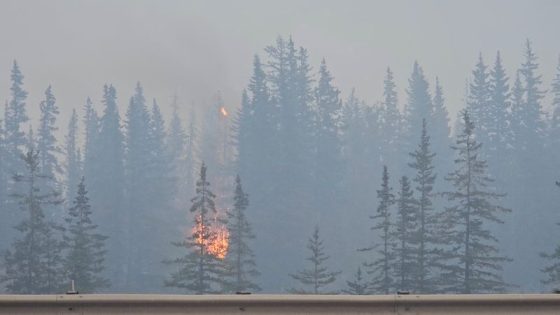 Jasper town fires extinguished, Canadian officials defend forest management practices – MASHAHER