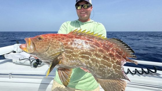 ‘Tax man’ collects portion of rare grouper caught off Florida – MASHAHER