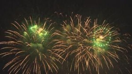 Pittsburgh Fireworks Task Force responds to 89 calls on 4th of July – MASHAHER