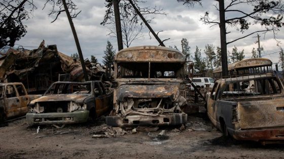 First images of Jasper after 100m high wildfire hit – MASHAHER