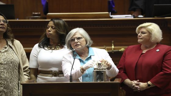 Voters kick all the Republican women out of the South Carolina Senate – MASHAHER