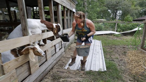 After Beryl, Houston-area farmers pull together to face unique challenges – MASHAHER