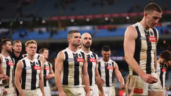 Craig McRae press conference, video, Collingwood Magpies loss to Hawthorn Hawks, reaction – MASHAHER