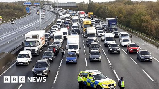 Just Stop Oil protesters jailed after M25 blocked – MASHAHER