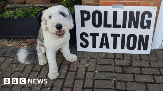 Dogs at polling stations – plus a snake and a horse – MASHAHER