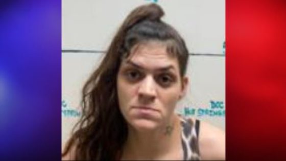 Hot Springs woman facing several charges after allegedly running over elderly man in Benton – MASHAHER