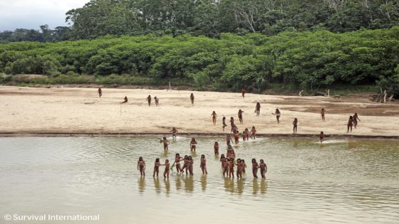 Group says photos of reclusive tribe on Peru beach show logging concessions are ‘dangerously close’ – MASHAHER