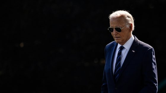 Biden held ‘tense’ call with group of House Democrats over concerns he can’t win – MASHAHER