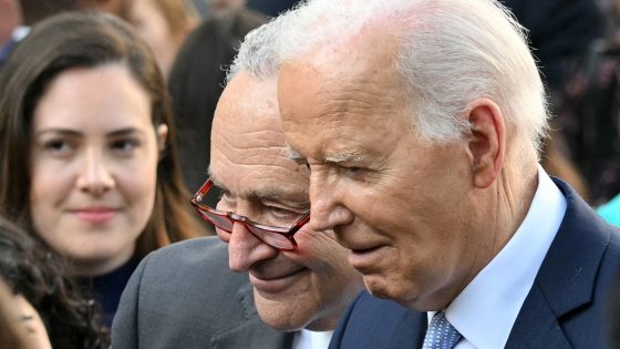 Schumer privately urged Biden to step aside in 2024 election: Sources – MASHAHER