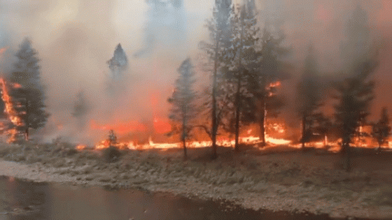 Massive Fires Continue to Sweep Oregon – MASHAHER