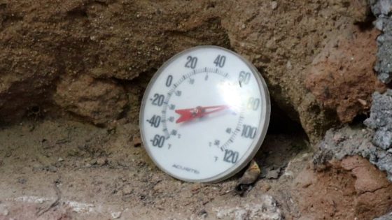 How cool is the temperature inside Fresno’s underground gardens? We measured it with a laser thermometer – MASHAHER