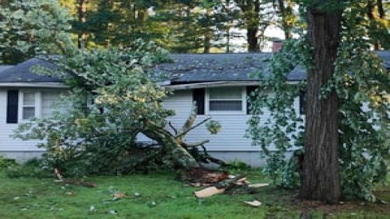 Microburst toppled 150 trees, damaged cars and homes in New Hampshire, NWS says – MASHAHER