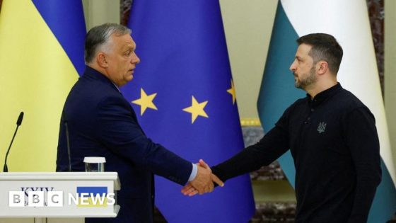 Hungary’s Viktor Orban urges Ukraine ceasefire on Kyiv visit – MASHAHER