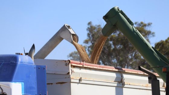 GrainGrowers launches national grain freight strategy – MASHAHER