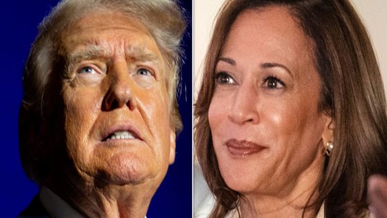 Kamala Harris Instantly Uses Trump’s Own Words Against Him – MASHAHER