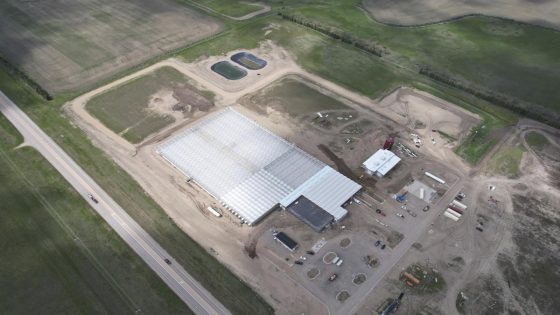 North Dakota tribe goes back to its roots with a massive greenhouse operation – MASHAHER