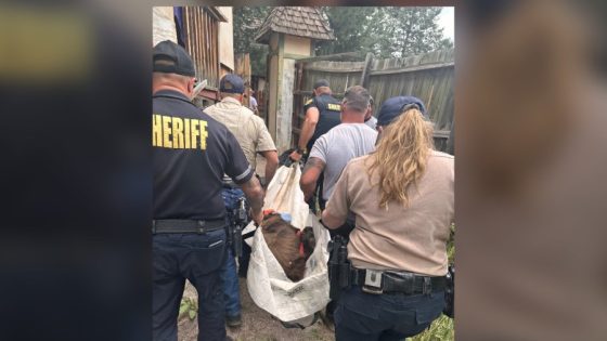 Unexpected visitor found at Colorado Renaissance Festival – MASHAHER