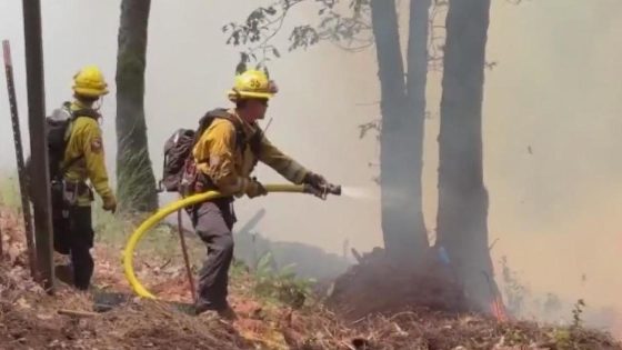 Wildfire smoke linked to heightened risk of dementia diagnosis, new California research finds – MASHAHER