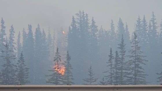 Wildfire burns down part of Canadian tourist town, 50% of structures destroyed – MASHAHER