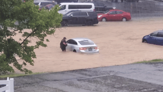 Dollywood Parking Lot Floods Amid Heavy Rain – MASHAHER