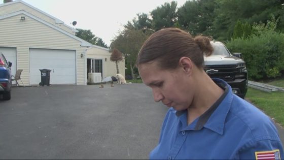 Woman faces charges after her dogs terrorized community – MASHAHER