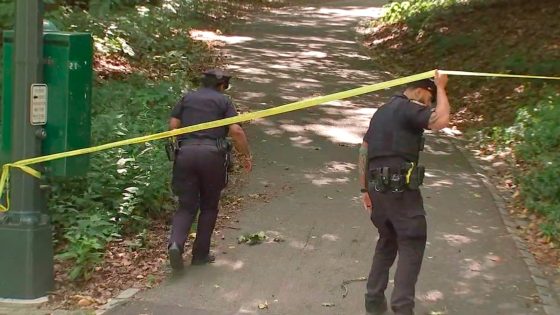 Person of interest taken into custody for attempted rape of Central Park sunbather: Sources – MASHAHER