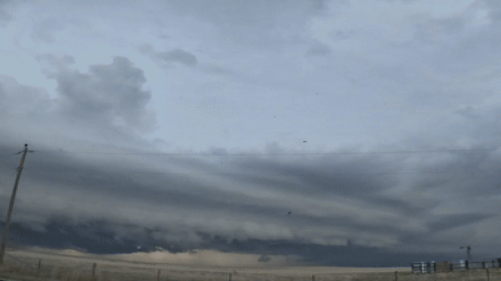 Cows Appear to Run From Severe Thunderstorm in Timelapse of Colorado Shelf Cloud – MASHAHER