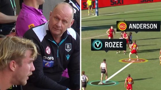 David King says Port Adelaide Power have a ‘problem’ with Jason Horne-Francis, easy to get under his skin, needs to control his emotion, Connor Rozee lazy in loss to Gold Coast Suns, comments, latest news – MASHAHER