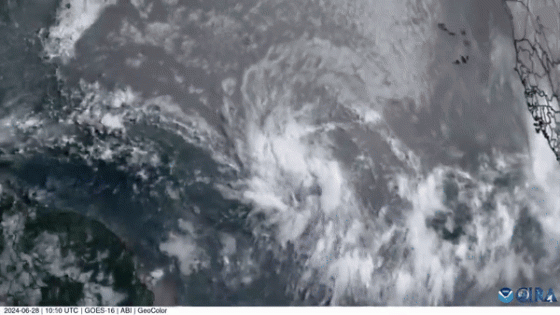 Timelapse Satellite Imagery Shows Storm Beryl’s Formation – MASHAHER