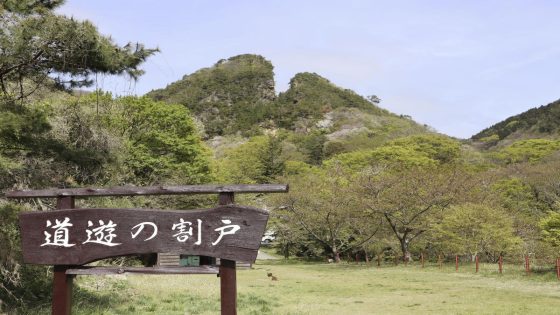 Japan’s Sado gold mine gains UNESCO status after Tokyo pledges to exhibit dark WWII history – MASHAHER