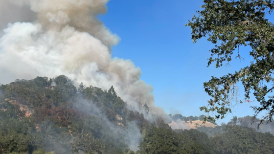 Man Allegedly Starts 36-Acre Wildfire By Driving Truck For More Than 4 Miles With No Tire – MASHAHER