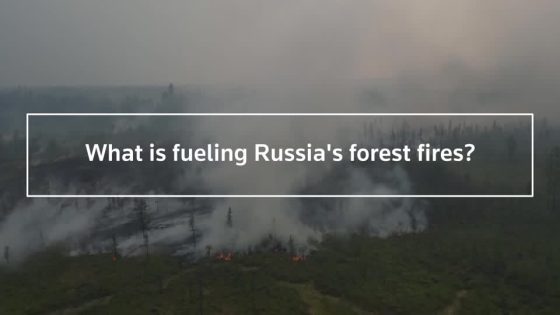 What is fueling massive Siberian wildfires? – MASHAHER