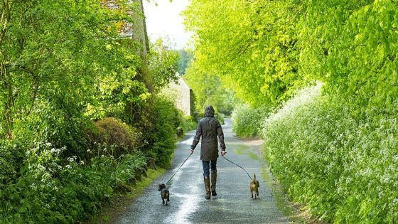 Neighbour’s ‘disgusting’ habit caught on camera after homeowner grew impatient with dog owner – MASHAHER