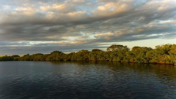 Researchers make startling connection between US lakes and wildfires: ‘Surprising, even to us’ – MASHAHER