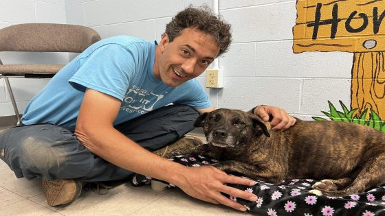 Cavers exploring in western Virginia rescue ‘miracle’ dog found 40 to 50 feet down in cave – MASHAHER