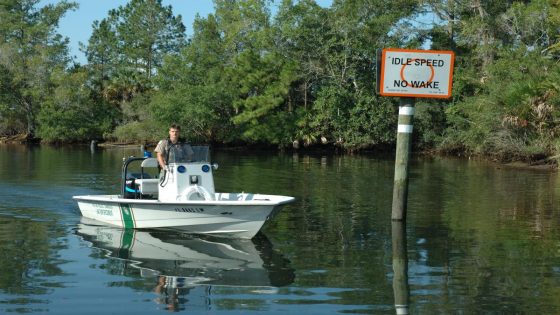 Man dies after jumping off Blackwater River bridge on I-10 – MASHAHER