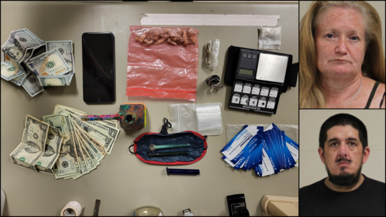 Plethora of drugs seized during traffic stop on State Highway 82 in Wisconsin – MASHAHER