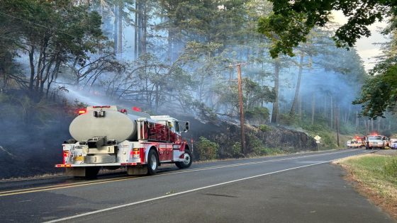 New Oregon wildfire erupts off McKenzie View Drive – MASHAHER