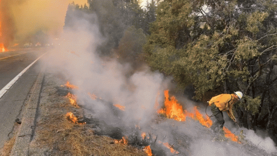 Firefighters Work to Stop California’s Massive Park Fire From Crossing Hwy 32 – MASHAHER