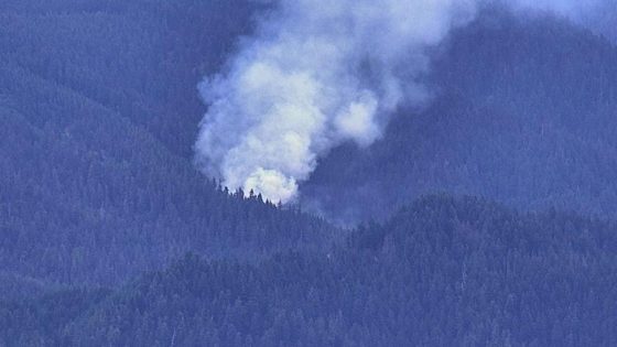 Oregon wildfire spotted near Blue River east of Eugene – MASHAHER