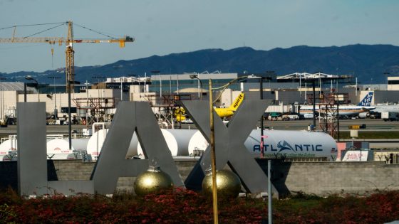 Half-naked man is arrested after running onto tarmac at the Los Angeles airport – MASHAHER