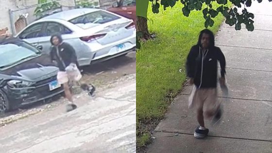 Chicago police issue alert for armed robberies in 3 neighborhoods – MASHAHER