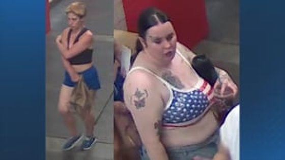 Police seek help identifying 2 women accused of attacking father, young daughter on MBTA train – MASHAHER