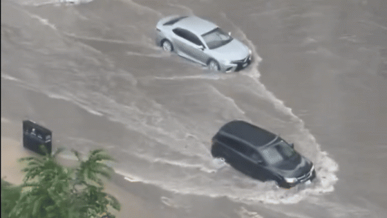 Motorists Drive Through Flooded Toronto Streets – MASHAHER