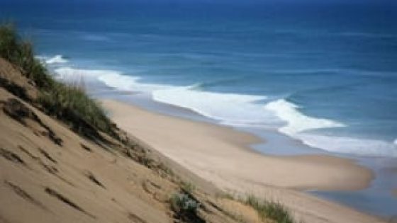 Popular Cape Cod beach ‘likely’ closed for rest of summer due to ‘potential for catastrophic event’ – MASHAHER