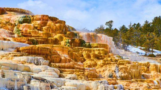 ‘Heroic’ Yellowstone Park Rangers Likely Saved Lives During Wild 4th of July Shootout – MASHAHER