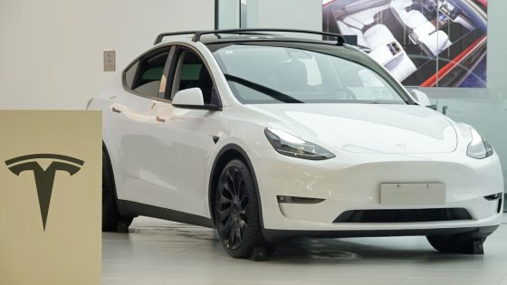 Tesla makes it onto Chinese government purchase list – MASHAHER