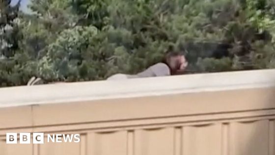 Video shows Trump rally shooter on roof – MASHAHER